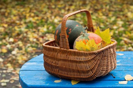 autumn-2892610__480.jpg