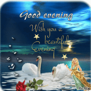 gegif3.gif