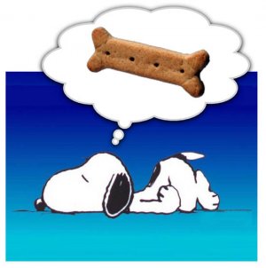 Snoopy-dreaming.jpeg