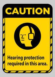 ear.jpg