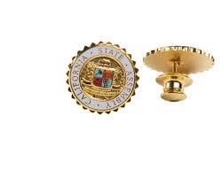 lapel pin.jpg lapel pin.jpg