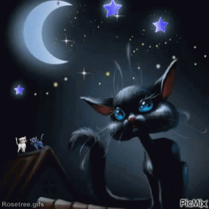 cat-goodnight.gif
