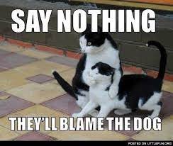 blamethedog.jpg