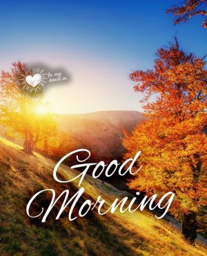 good_morning_autumn.jpg