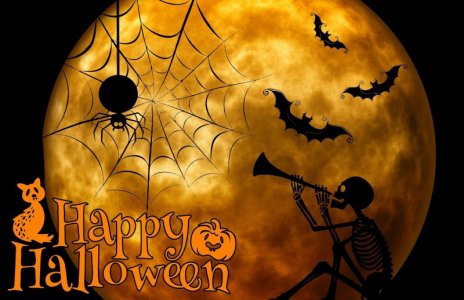 halloween-gb2a235670_1920_1635655552210.jpg