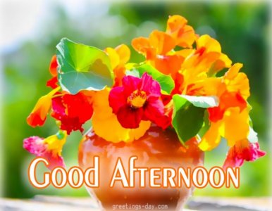 good_afternoon_status_pic-1-1024x797.jpg