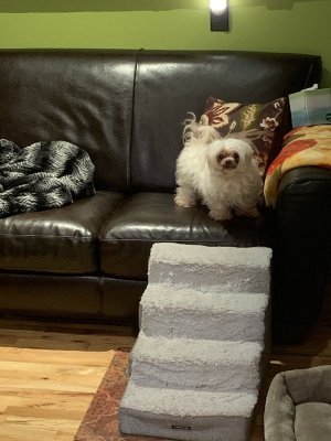 B2422B15-2E73-45BB-A0B1-7144E0BF05CA.jpeg B2422B15-2E73-45BB-A0B1-7144E0BF05CA.jpeg