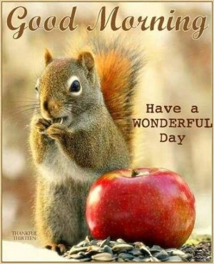 456f2cc243da72c4f749bf47b9f62b63[1].jpg