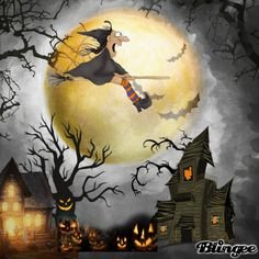 6ff265955850acea49b7ab0427cb639f[1].jpg