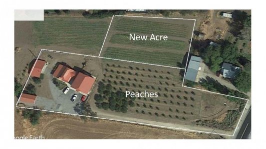 New Land.jpg