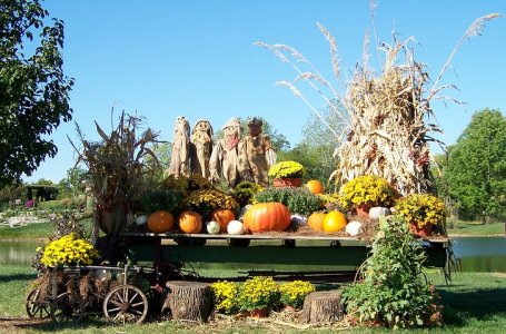 autumn-17683__480.jpg