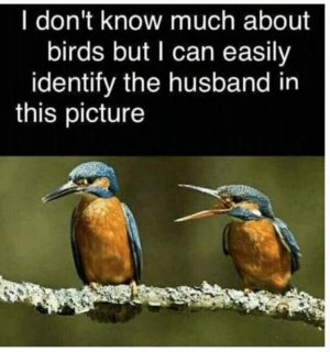 tech birds.jpg