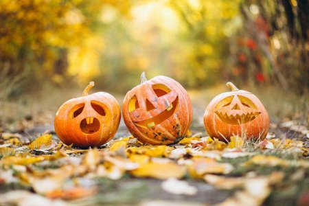 pumpkin-6720424__480.jpg