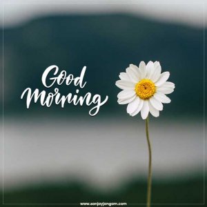 good-morning-images.jpg