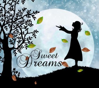 good night fall.jpg