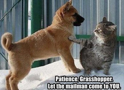 wait for mailman .jpg