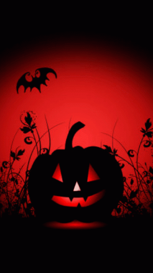 6d6f8effabfc5706330afd1f711b9292[1].gif