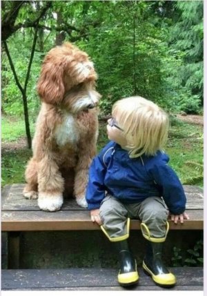 too cute.jpg