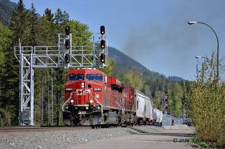 CP-4.jpg