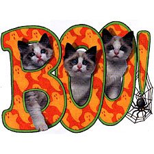 boo-cats.jpg