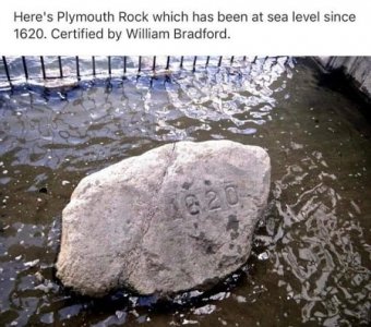 plymouth rock.jpg