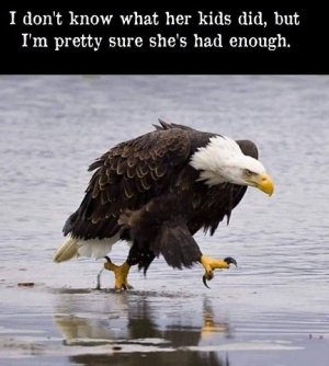 mad.jpg