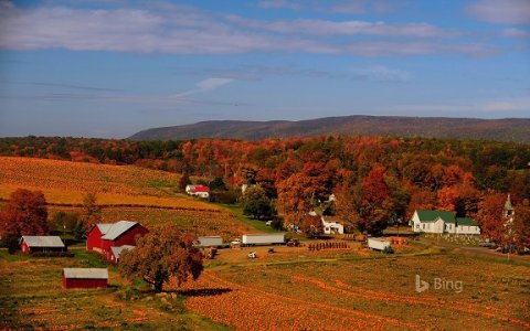 fall.jpg