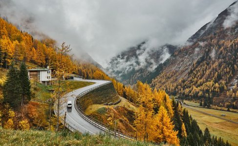 nature-4616282__480.jpg