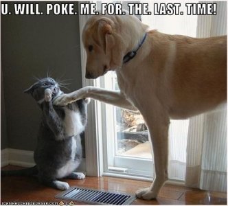 u.poke.me.last.time.jpg