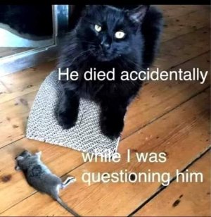 4B4365F6-D5EA-44DF-93D9-1ABD0C35E232.jpeg