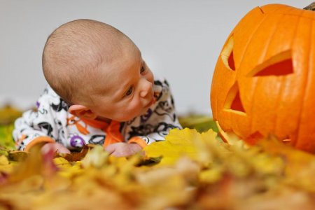 adorable-21168__480.jpg