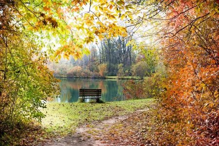 autumn-986350__480.jpg