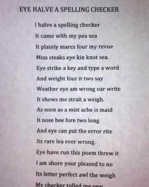 spell checker.jpg