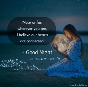 good-night-quotes-19.jpg