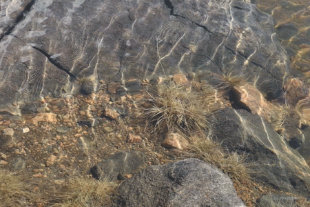 tumblr_7f61d629df657ae70de81ea32214141d_4d984ccb_640.gif