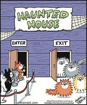 scaredcats.jpg