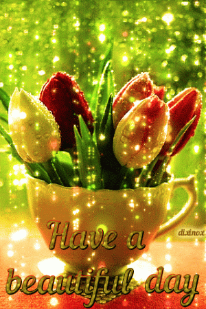 927bbfb5447970b61c2ed2959cd348ae[1].gif