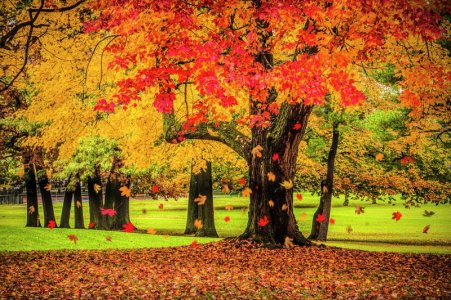 autumn-city-park-scene-with-falling-leaves-randall-nyhof.jpg