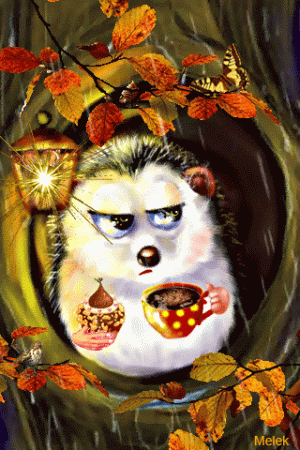 7A6EA2BC-9114-4821-9664-A0A3E97DA09D.gif