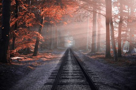 railway-2818748__480.jpg