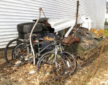 yard2a.jpg
