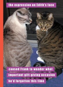 CB179V-i-can-has-cheezburger-madison-park-group-valentines-day-greeting-card-lol-funny-humor-cat.jpg