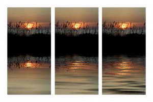 Florida-Sunset-3-pics.jpg