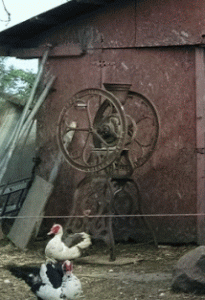 x.gif