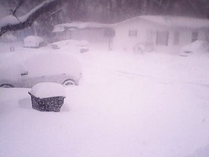 IMG_20170314_134015.jpg IMG_20170314_134015.jpg