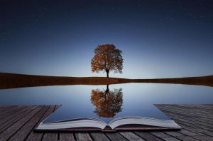 tree-reflection.jpg