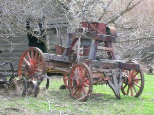 IMG_2143.JPG