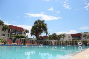 gulf-gate-sarasota-fl-pool.jpg