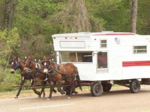 national lampoon amish vacation.jpg