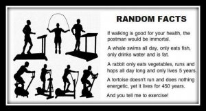 Funny-random-facts-about-exercise.jpg